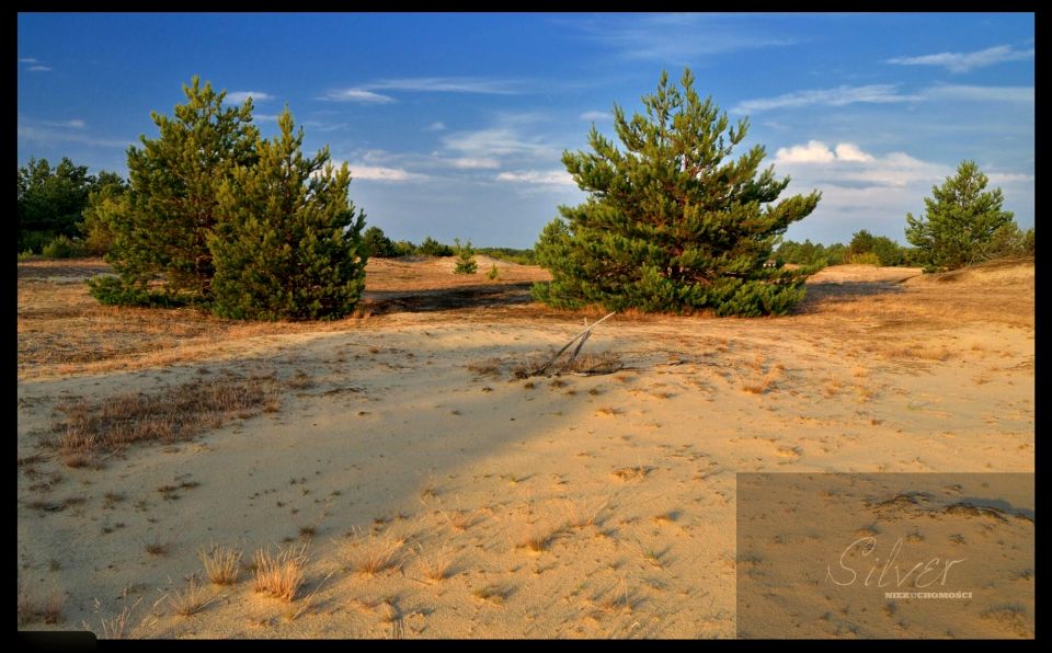 Działka rekreacyjna Famułki Brochowskie