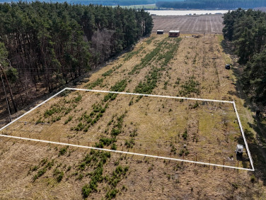 Działka rekreacyjna Imielno