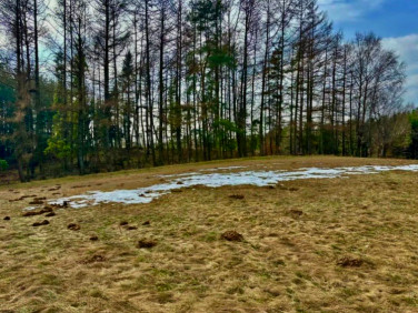 Działka nad jeziorem