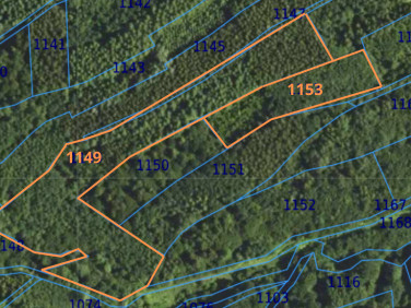 Działka leśna Łopuszka Wielka