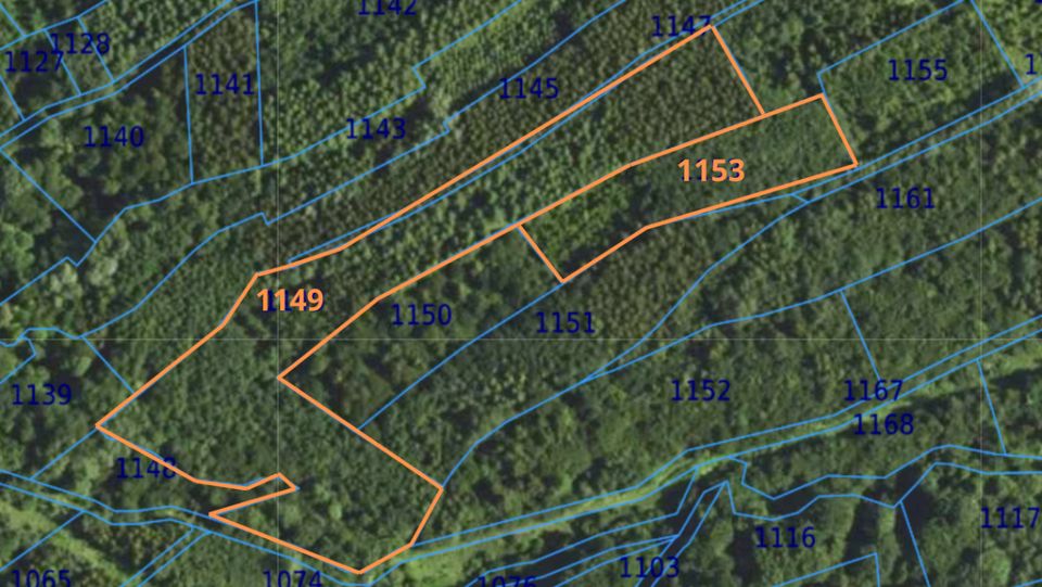 Działka leśna Łopuszka Wielka