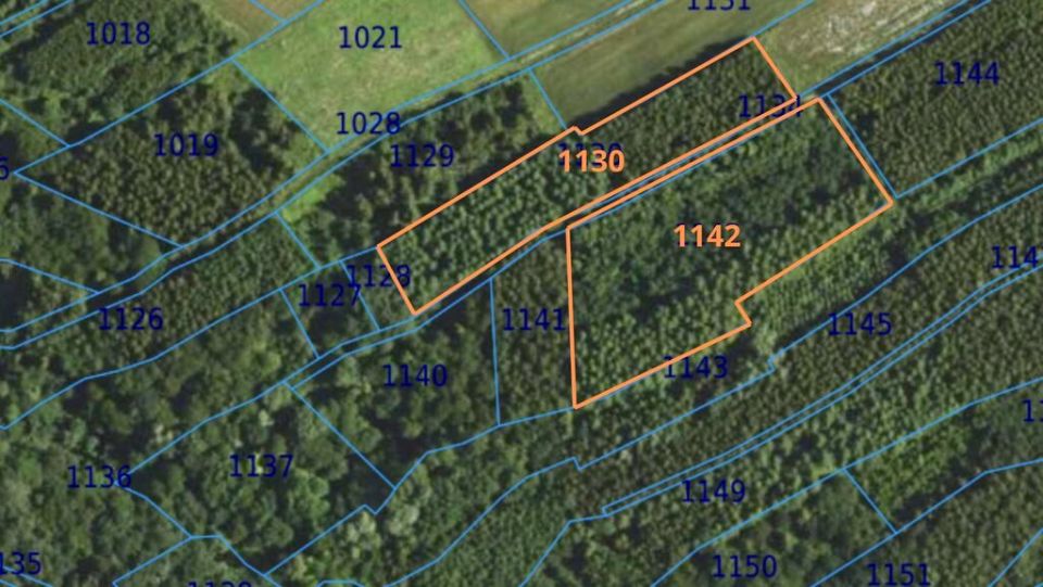 Działka leśna Łopuszka Wielka