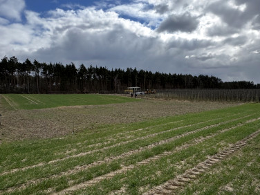 Działka budowlana Szczutki