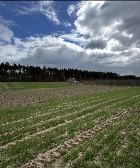 Działka budowlana Szczutki