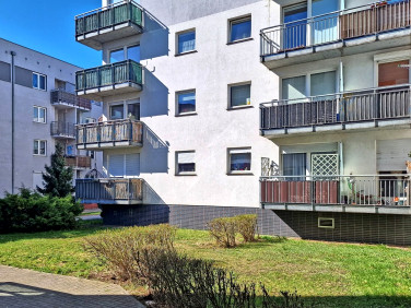 Mieszkanie Poznań wynajem