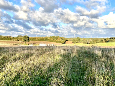 Działka budowlana Ząbrowo