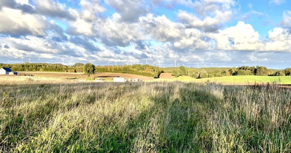 Działka budowlana Ząbrowo