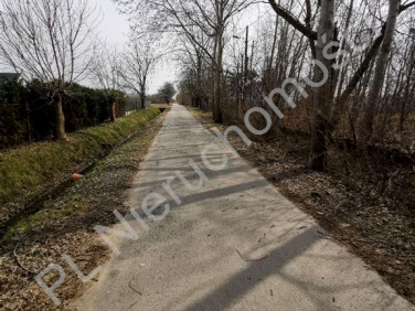 Działka usługowa Opacz-Kolonia