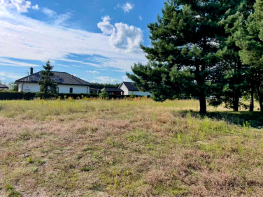 Działka rolna Włoszczowa