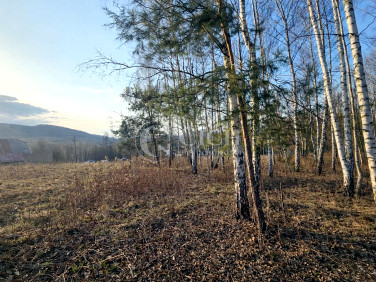 Działka Kamienica Dolna