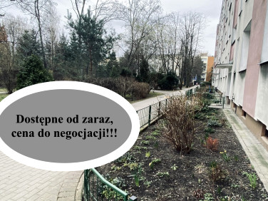 Mieszkanie przy lesie