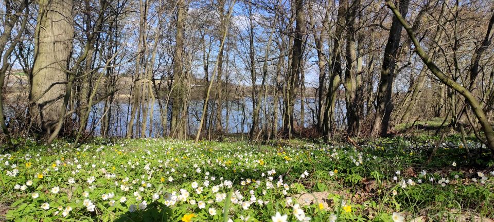 Działka rekreacyjna Radzynek