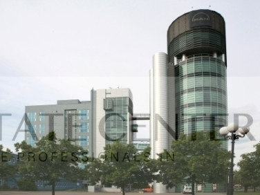 Lokal Poznań wynajem