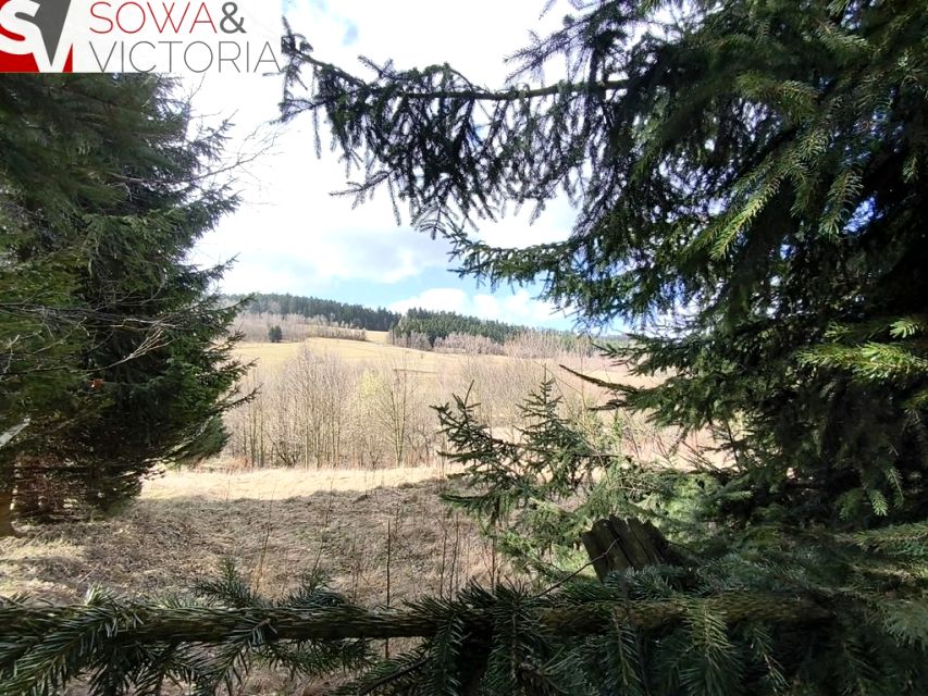 Działka budowlana Walim