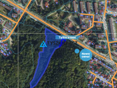 Działka leśna Gdynia