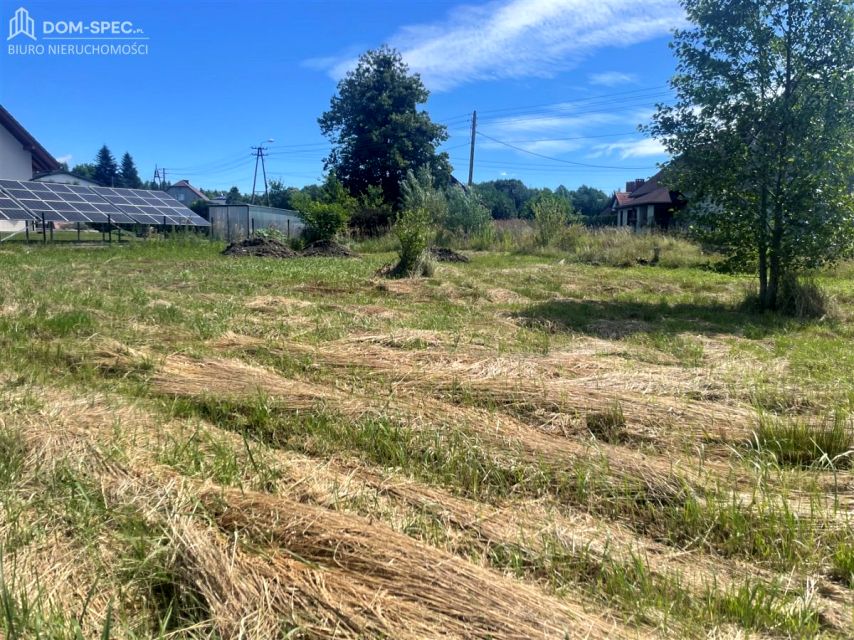 Pusta działka turzyczka