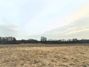 Działka budowlana ŚLĄSKIE