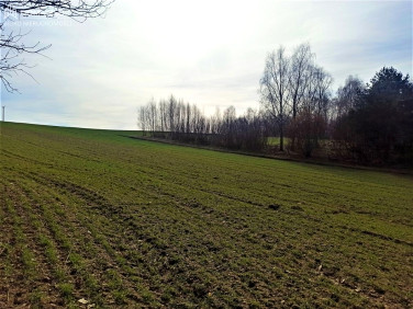 Działka budowlana Jankowice