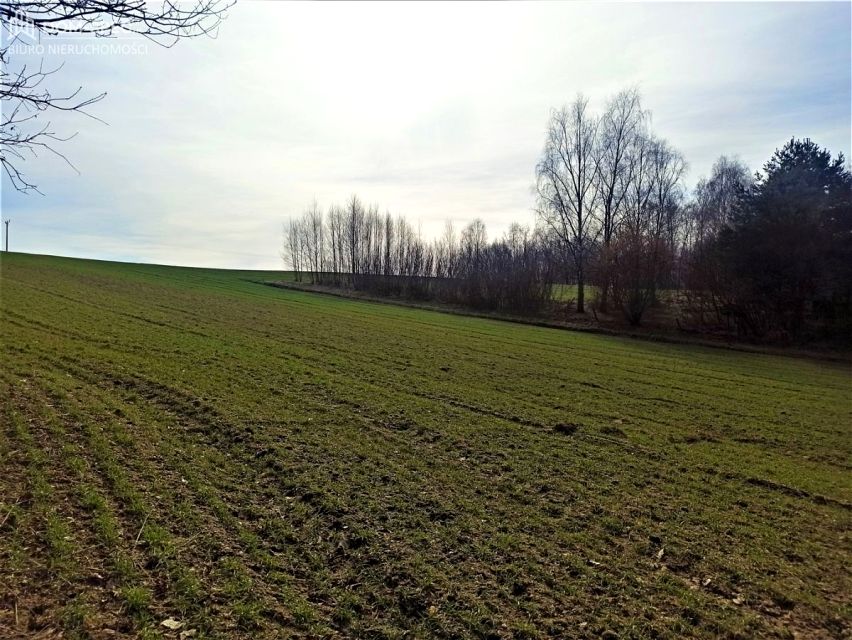 Działka budowlana Jankowice