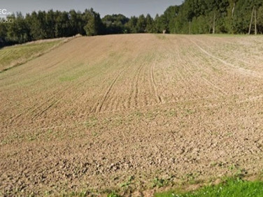 Działka budowlana Gogołowa