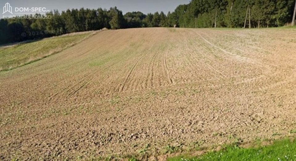 Działka budowlana Gogołowa