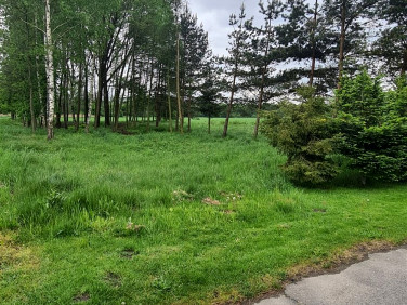 Działka budowlana Skrzyszów