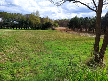 Działka budowlana Świerklany