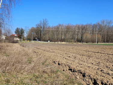 Działka budowlana Delastowice