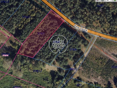 Działka budowlana Obrowo sprzedam