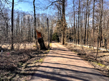 Działka inna Świętochów