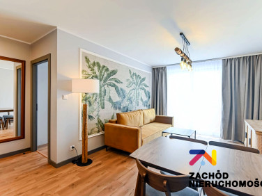 Mieszkanie Zielona Góra