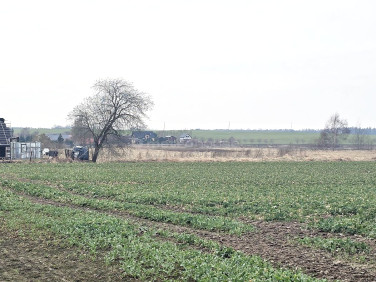 Działka inwestycyjna Krokowa