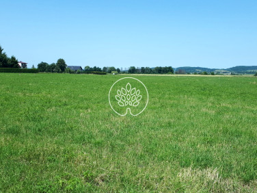 Działka budowlana ZARSZYN