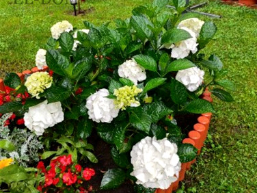 Mieszkanie Wejherowo