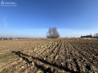 Działka moszczenica