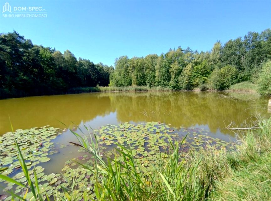 Działka leśna Rybnik