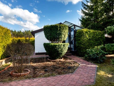 Działka rekreacyjna Tryszczyn