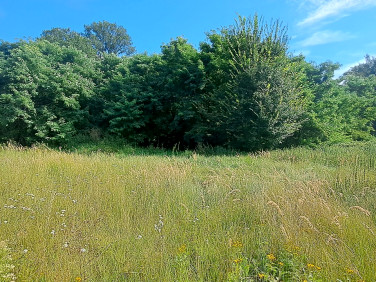 Działka budowlana Nowe Biskupice