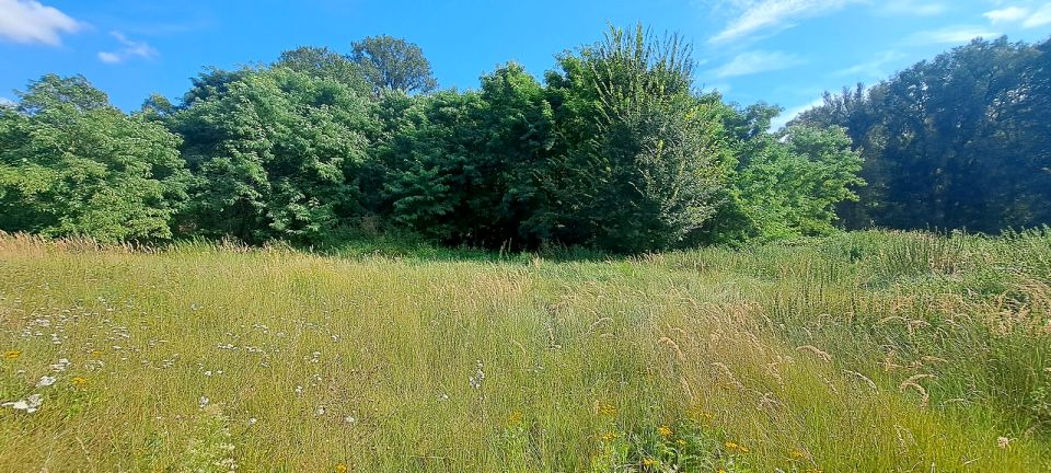 Działka budowlana Nowe Biskupice