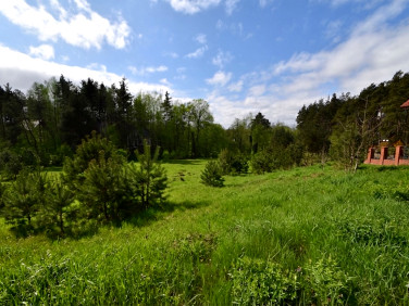 Działka budowlana Gołubie