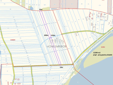 Działka rolna Coniew