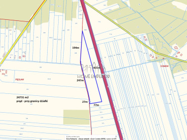 Działka rolna Coniew