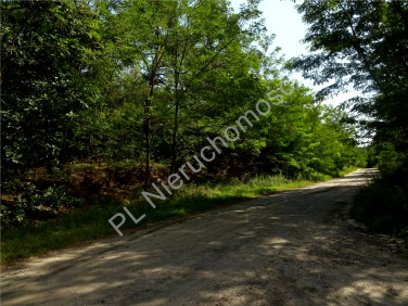 Działka budowlana Wołomin