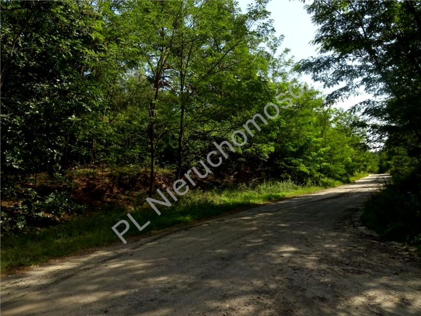 Działka budowlana Wołomin