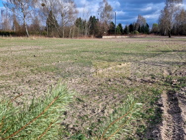 Działka BORZĘCIN DUŻY