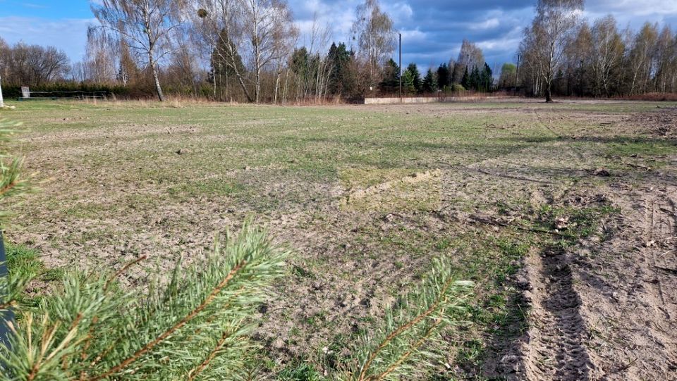 Działka BORZĘCIN DUŻY