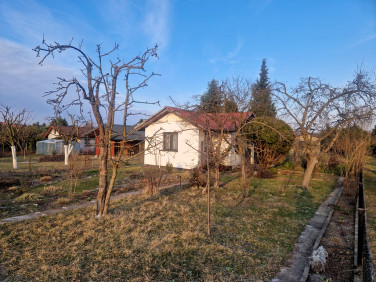 Dom Piotrków Trybunalski