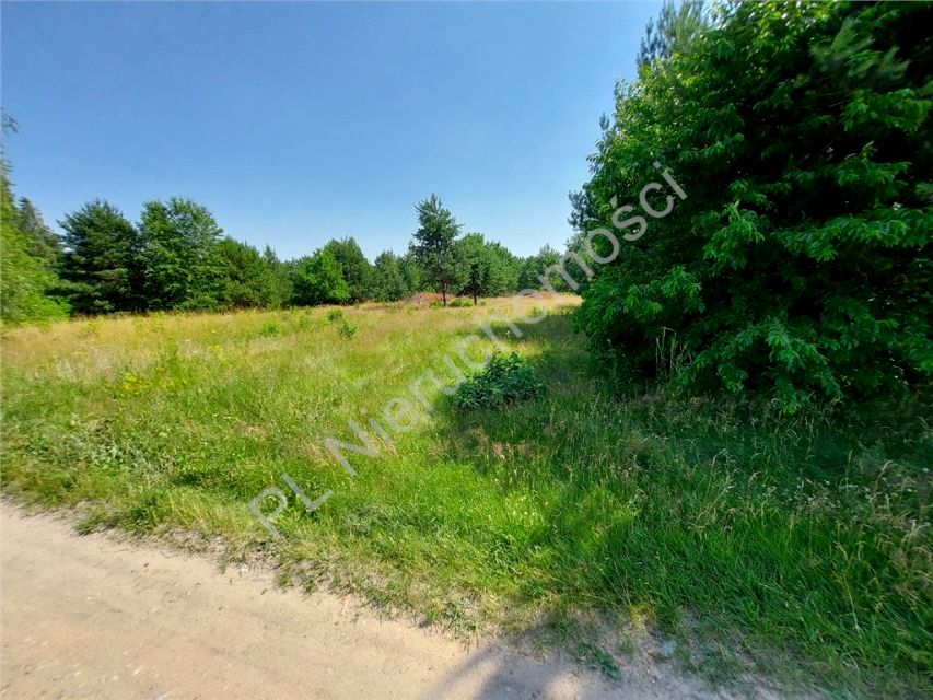 Działka budowlana Nowe Załubice