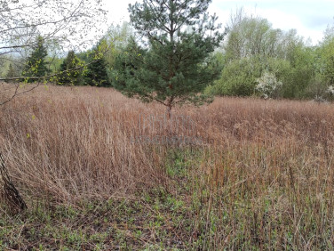 Działka rolna Kawęczynek