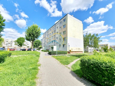 Mieszkanie INOWROCŁAW